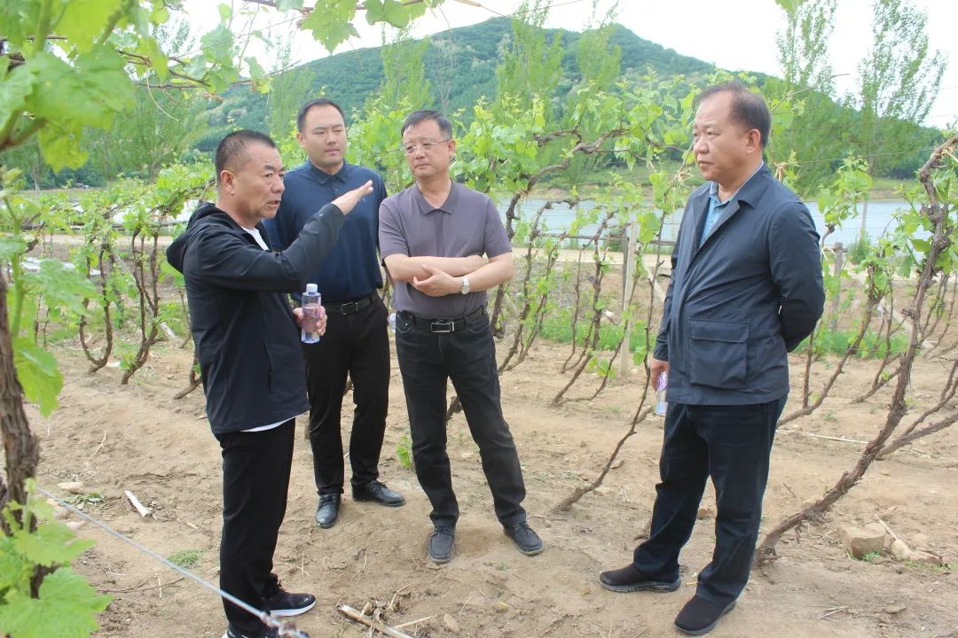 640?wx_fmt=jpeg 图片